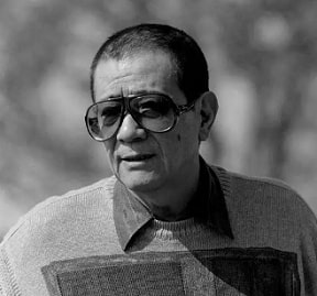 笹沢佐保の画像