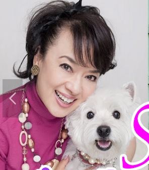 ジュディオングが飼っていた犬の画像